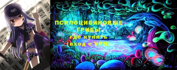 твердый Алзамай